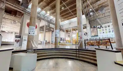 Palais De Tokyo – Travée / L’Alcôve du Midi / La Grande Verrière